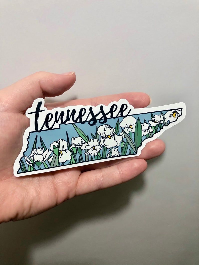 Tennessee Iris State Flower Sticker