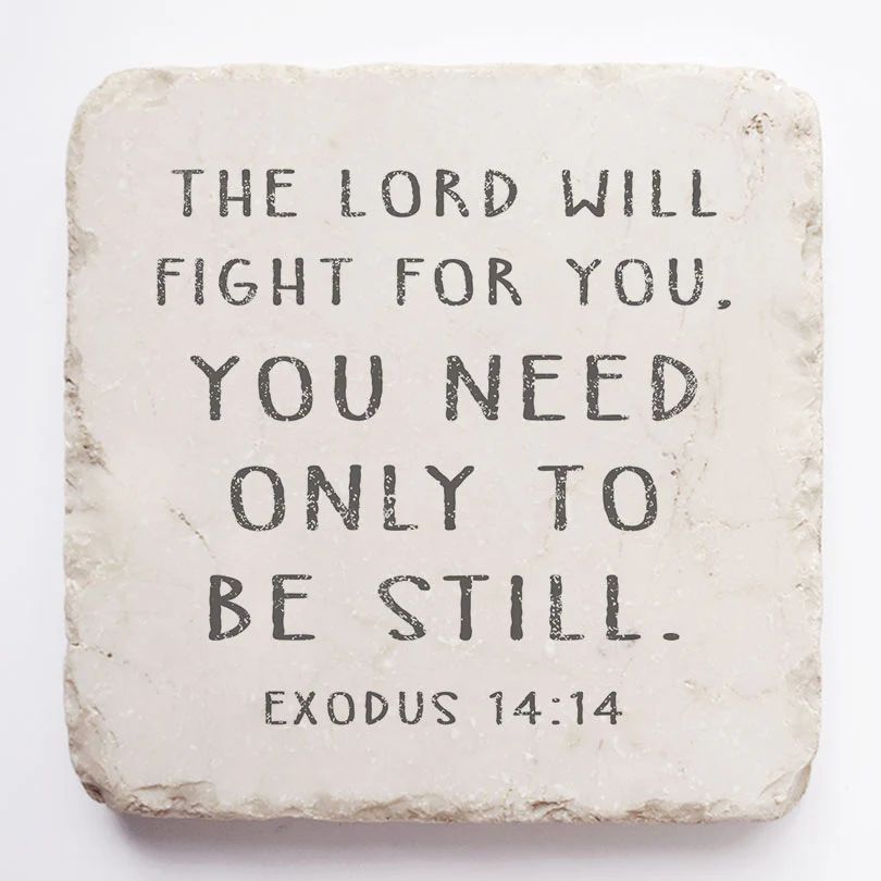 Exodus 14:14 The Lord will fight for you