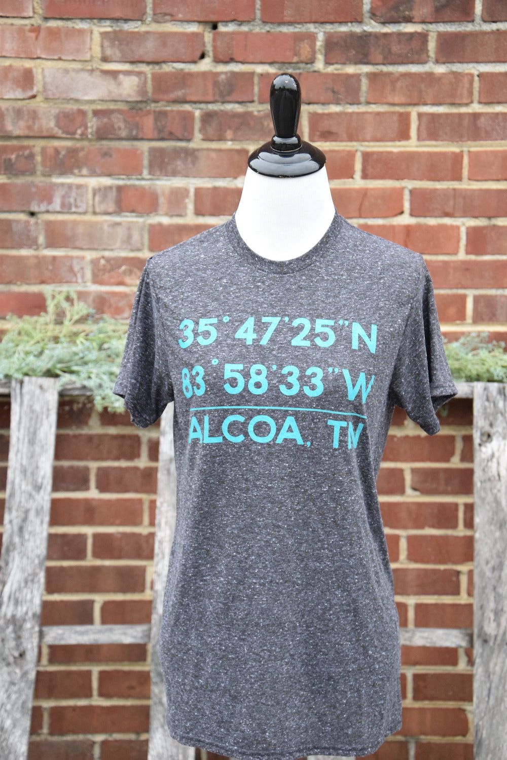 SALE- Alcoa, Tennessee Coordinates Tee