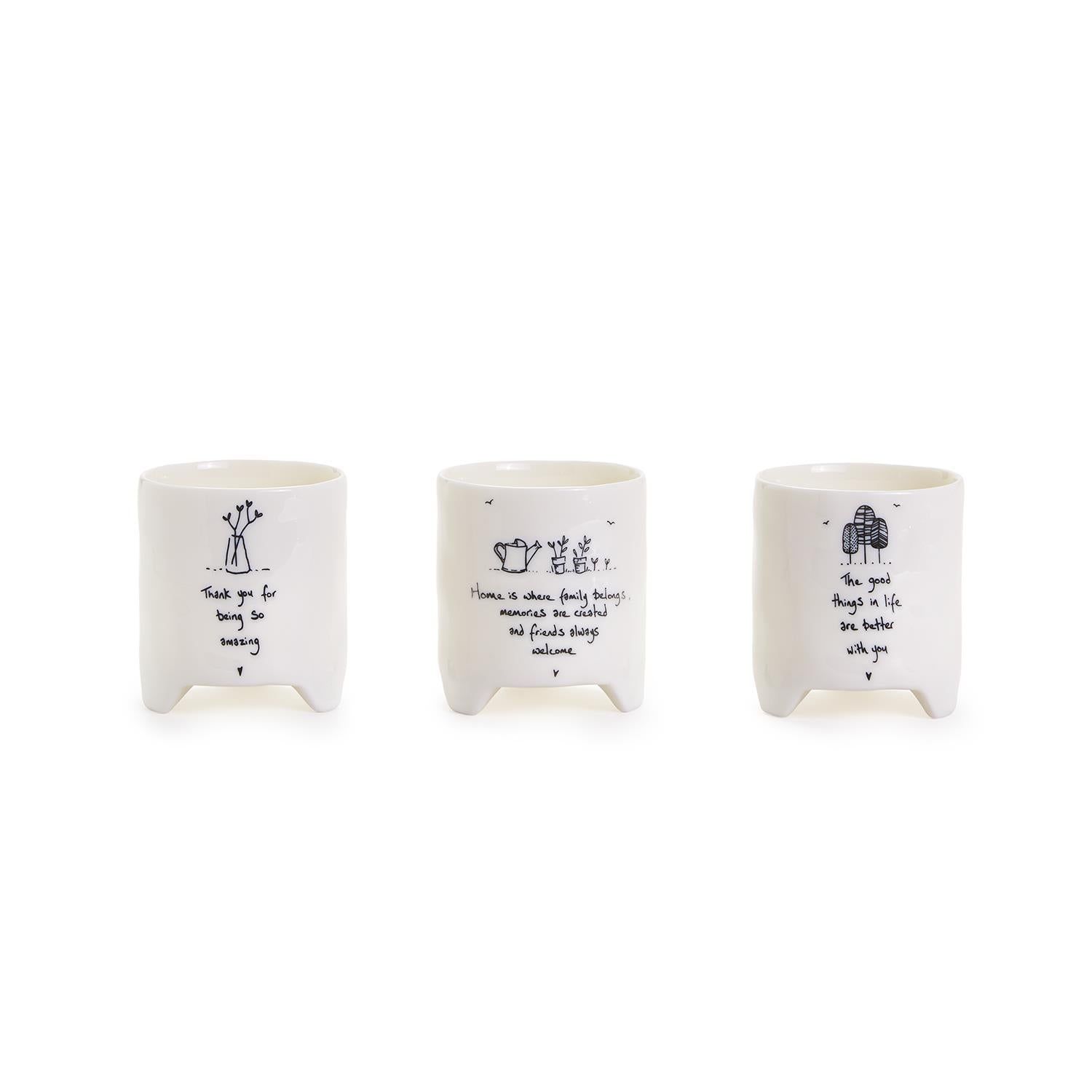 Assorted Sweet Sentiment Planters