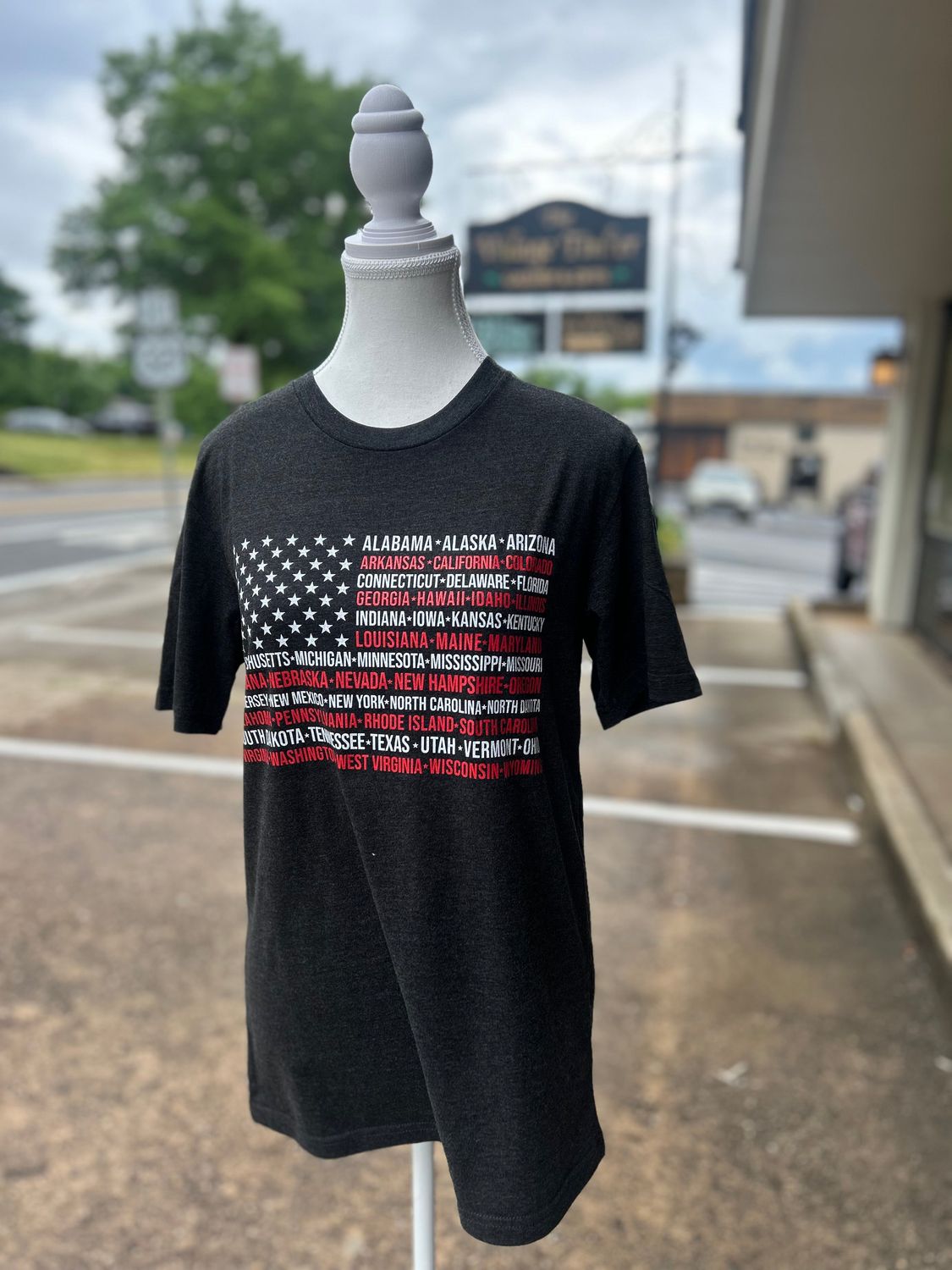 USA- States Flag Tee