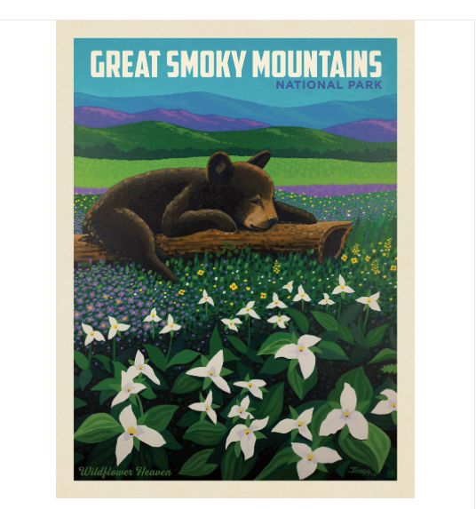Great Smoky Mountains Wild Flower Heaven Art Print