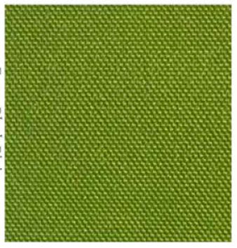 Outdoor Green/Black Cushion