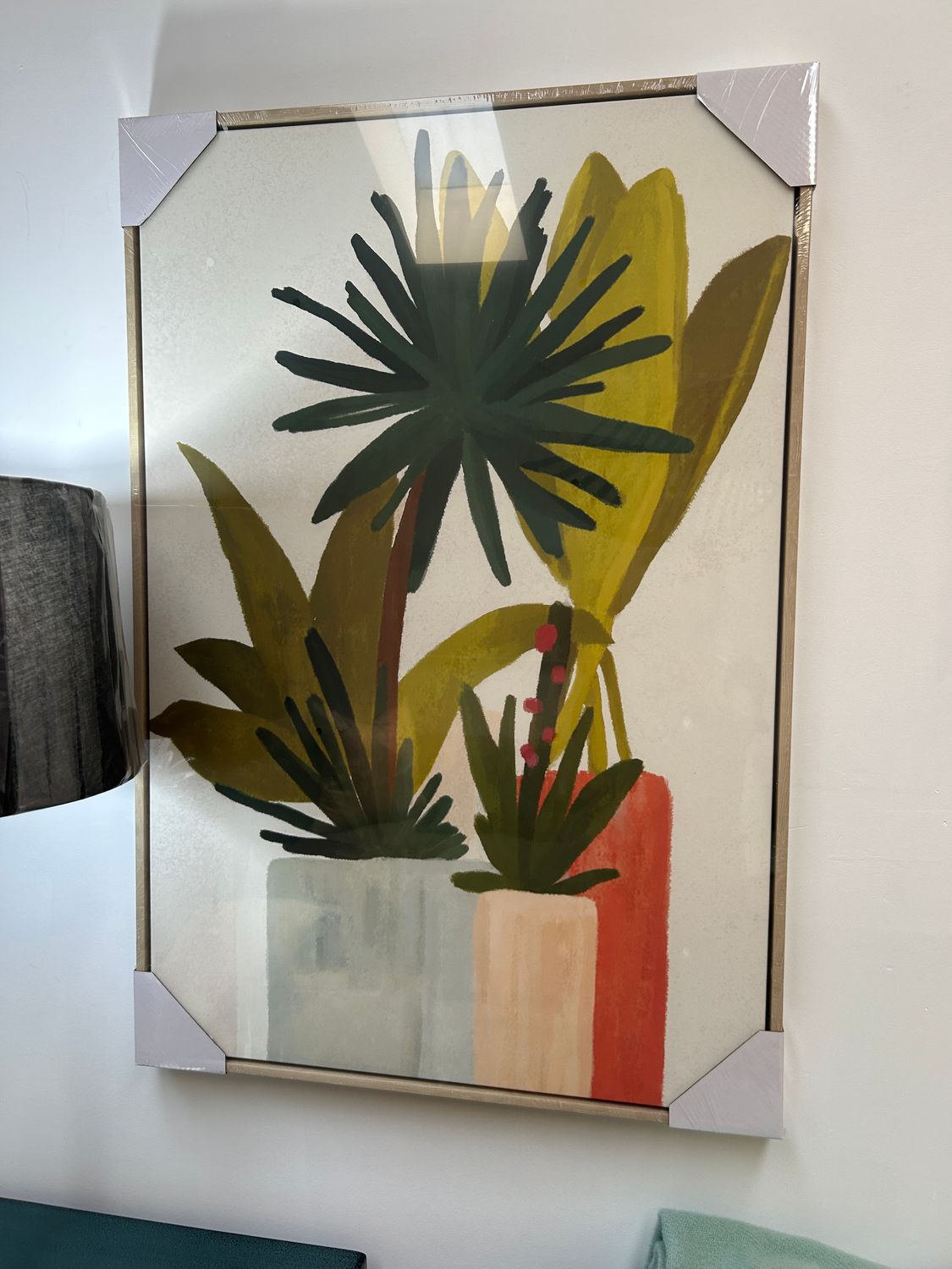 Subtropical Canvas