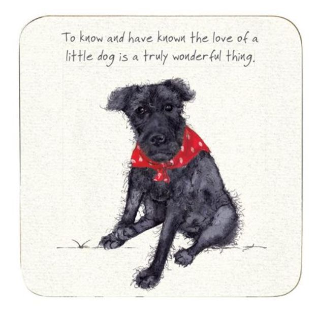 Little Dog Coaster