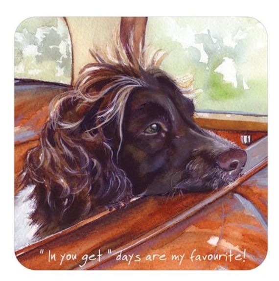 In you get Coaster