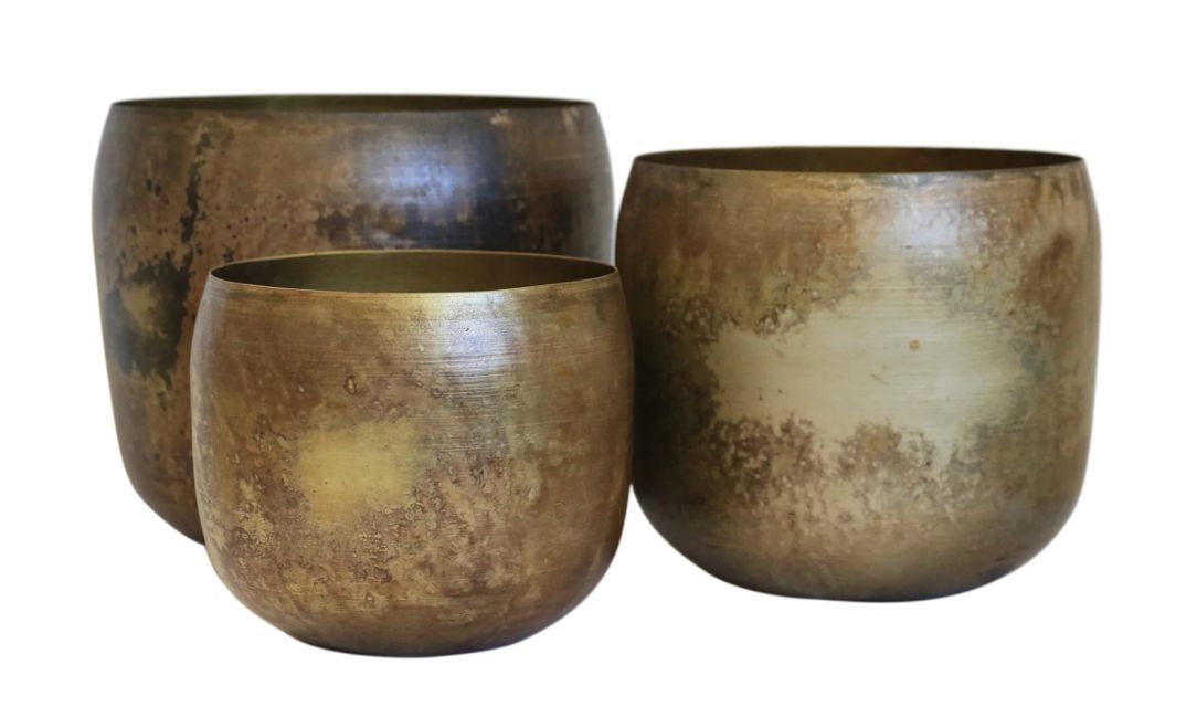 Haveli Planter Medium