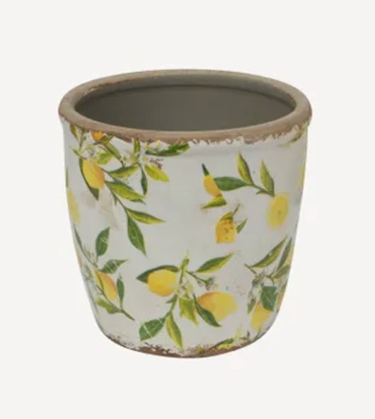 Botonical Lemon Pot Large