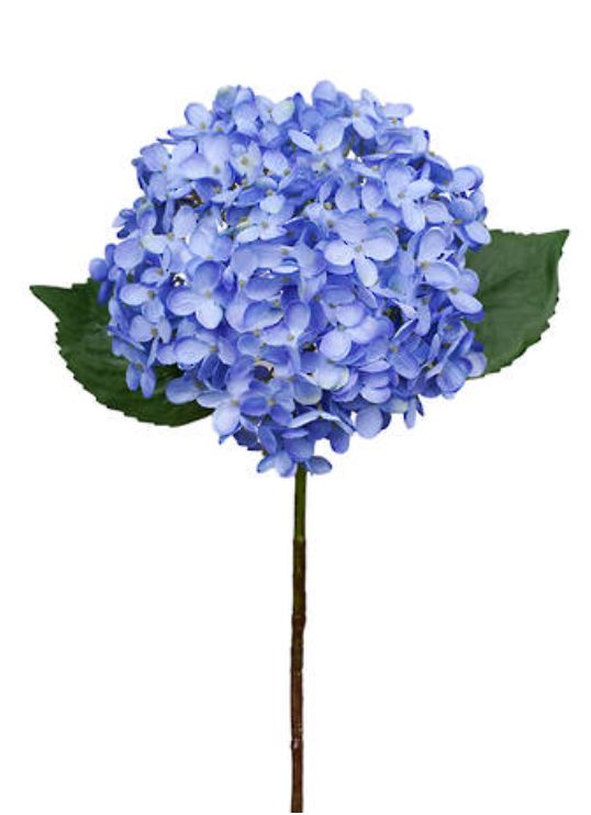 Annabelle Hydrangea 63cm Blue