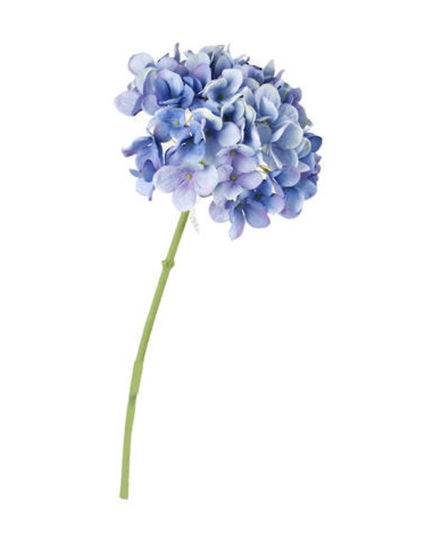 Winter Hydrangea Blue/Green 48cm