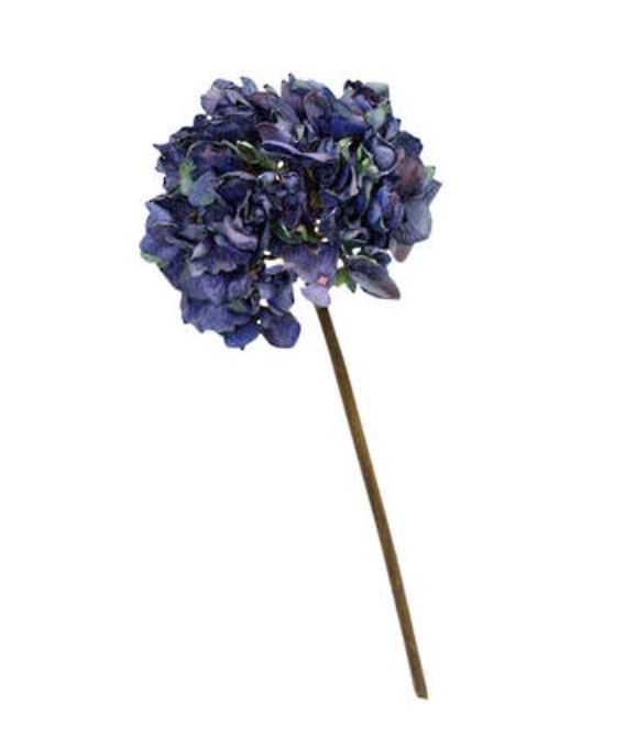 Dried-Look Hydrangea Blue