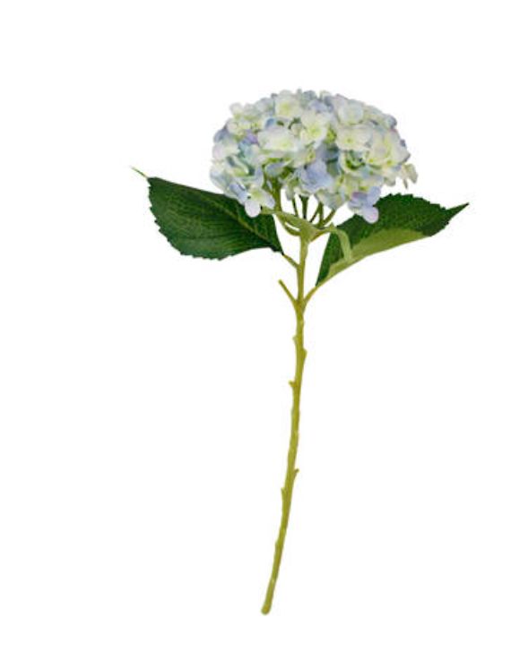 Hydrangea Short Stem 45cm Blue