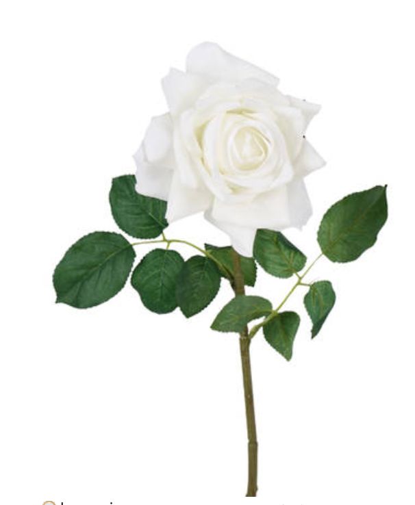 Aida Real Touch Rose - White