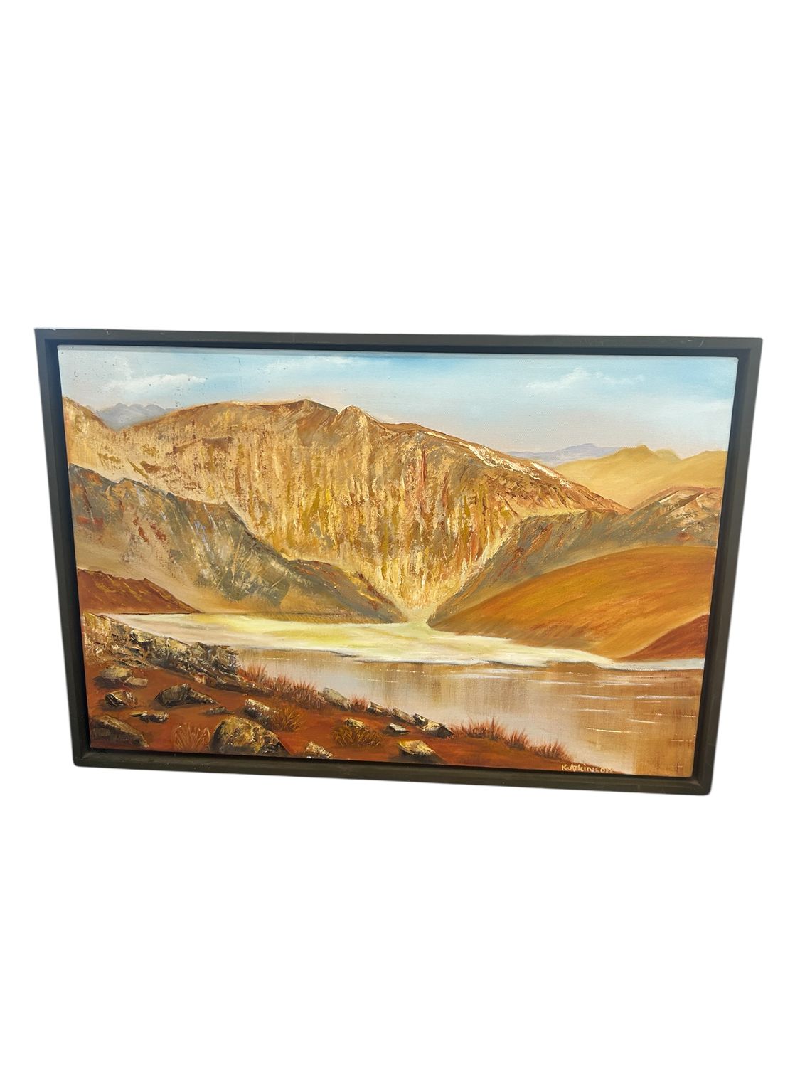 Brown landscape Canvas