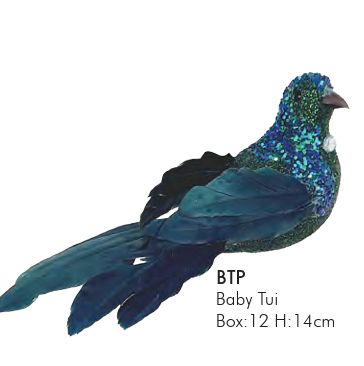 Baby Tui