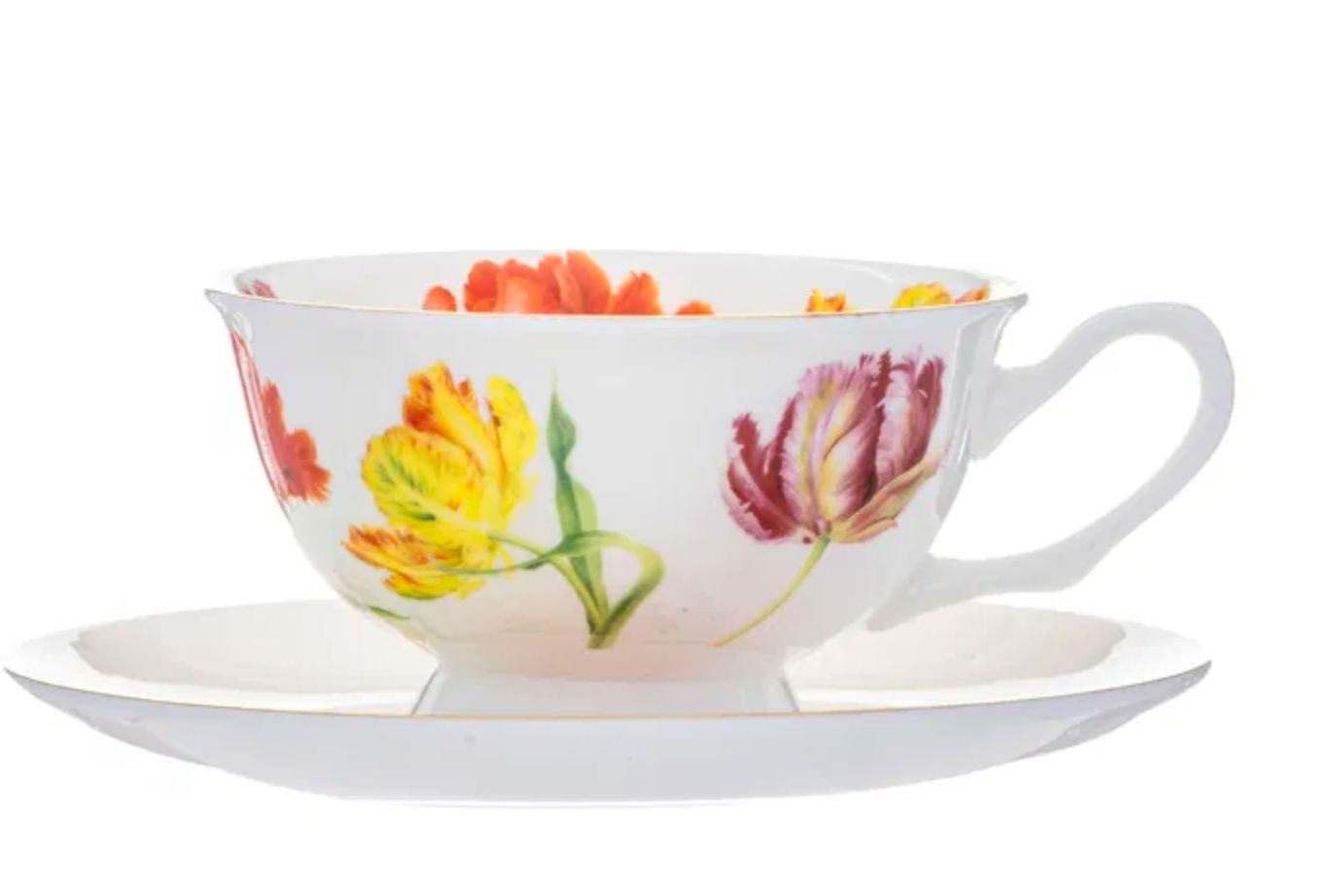 Bontanical Sym Cup &amp; Saucer