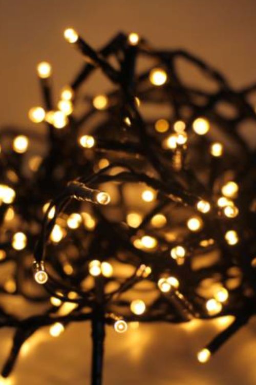 Fairy Light 288