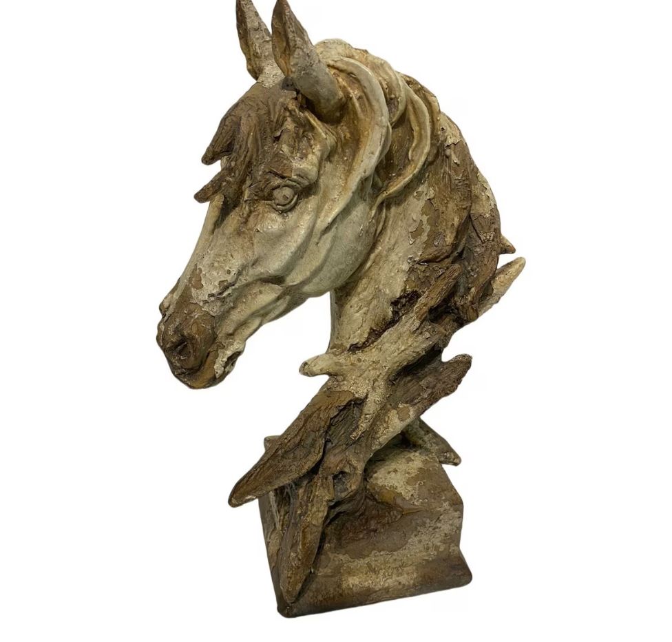 Horse Head