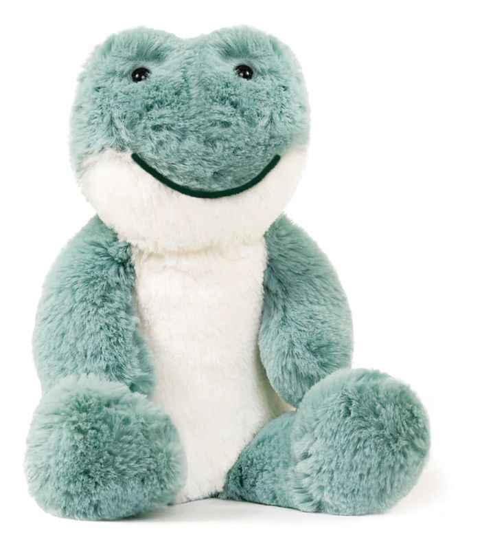 Little Frog Soft Toy
