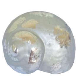 Seasnail Silver