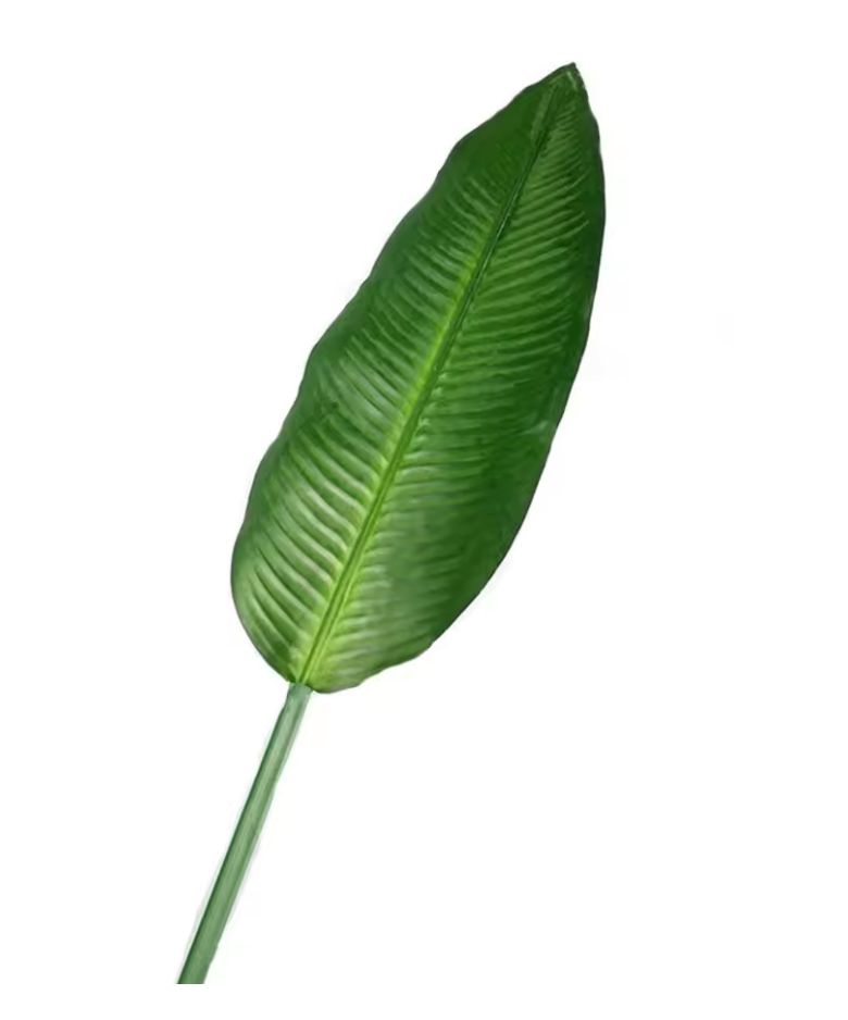 Bannana Leaf
