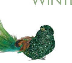 Curly Tail Bird