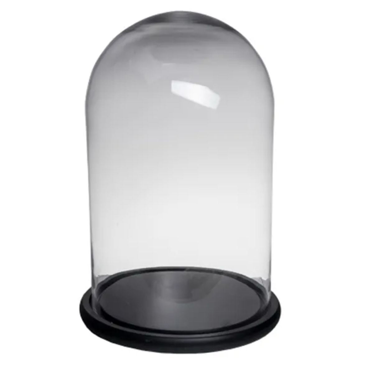 Dome on Black Base - Wide &amp; Tall