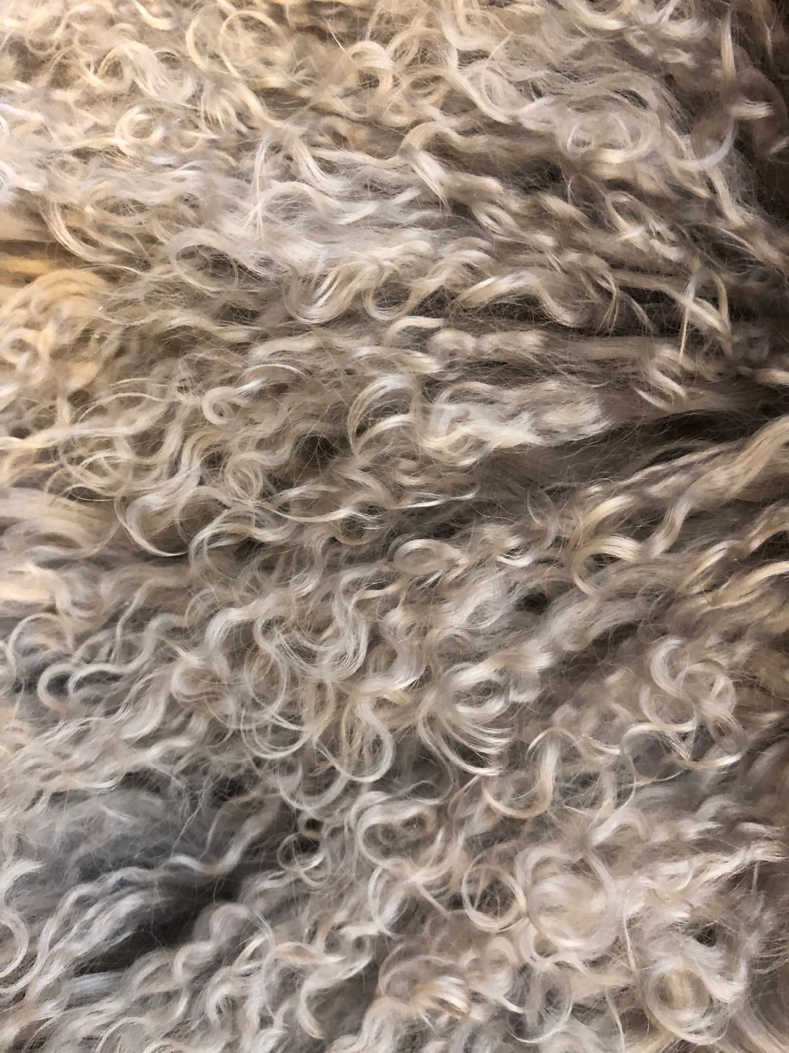 Tibetan Double Lamb hide Oatmeal