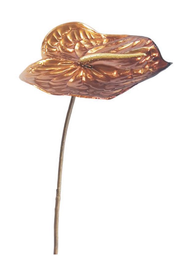 Metallic Anthurium Copper