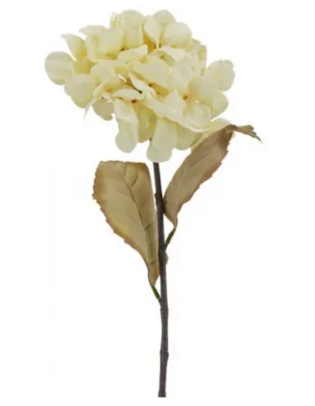 Hydrangea Antique White