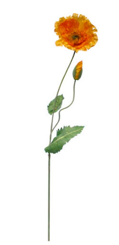 Poppy Spray Tangerine