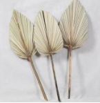 Palm Leaf Deco