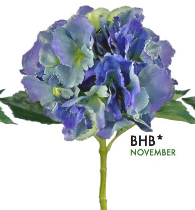 French Hydrangea - Teal