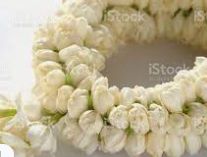Jasmine Garland