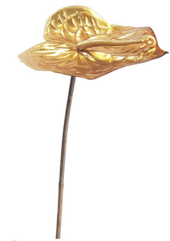 Metallic Anthurium Gold