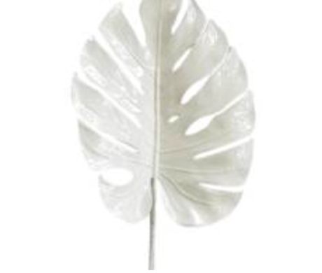 White Split Philo Leaf 74cm