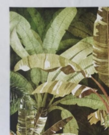 Outdoor Canvas - Jungle Hammock