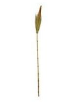 180cm Coco Leaf &amp; Comb Deco Stick
