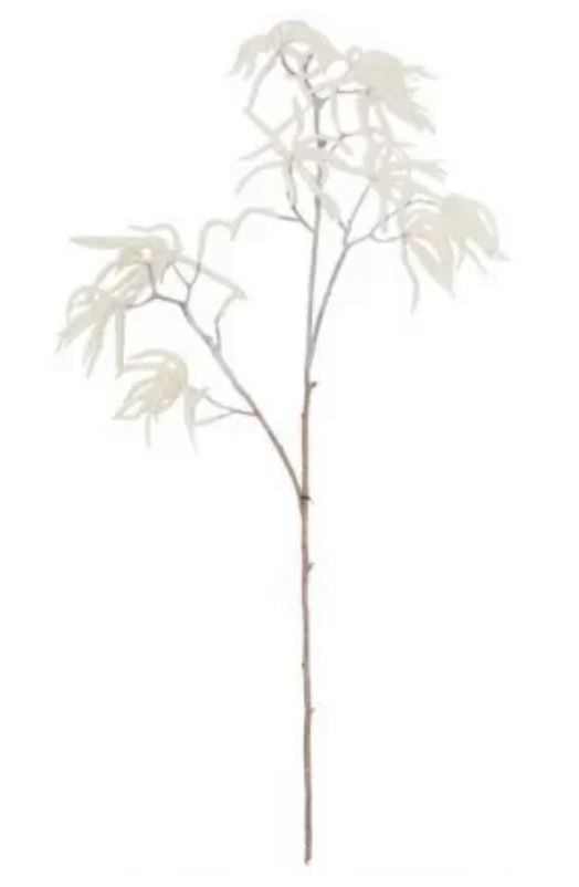 American Witch Hazel Spray White