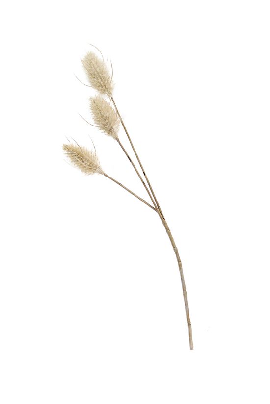 Bunny Tail Pick - 35cm