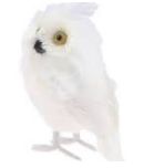 Furry Winter Owl
