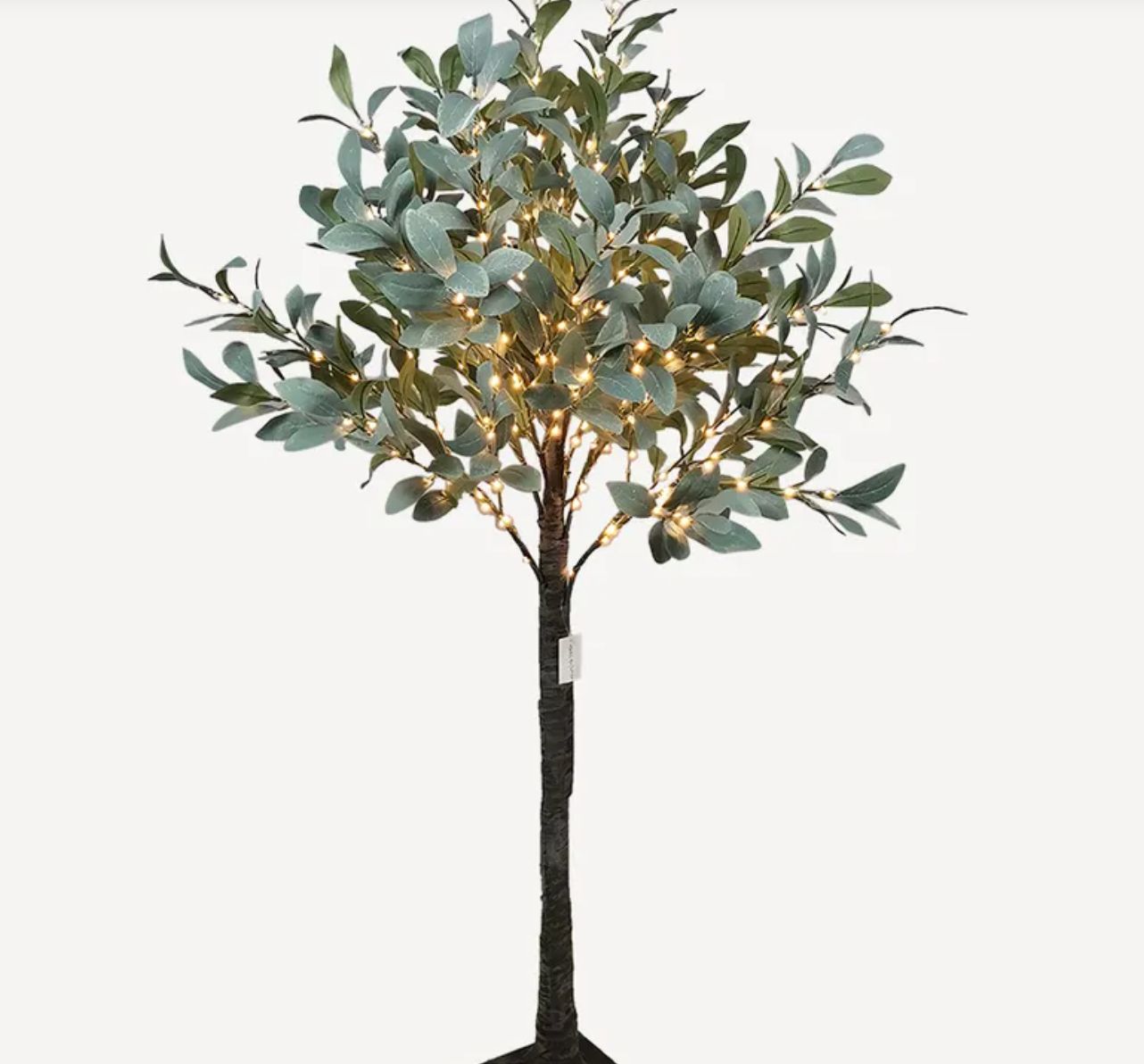 Olive tree Light up Small