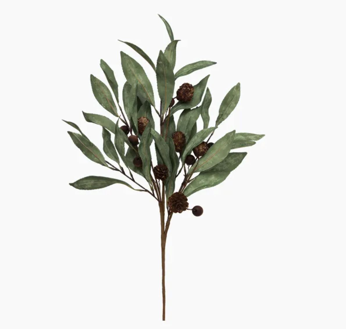 Eucalyptus &amp; Berry Branch