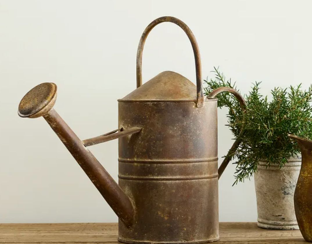 Jardin Watering Can