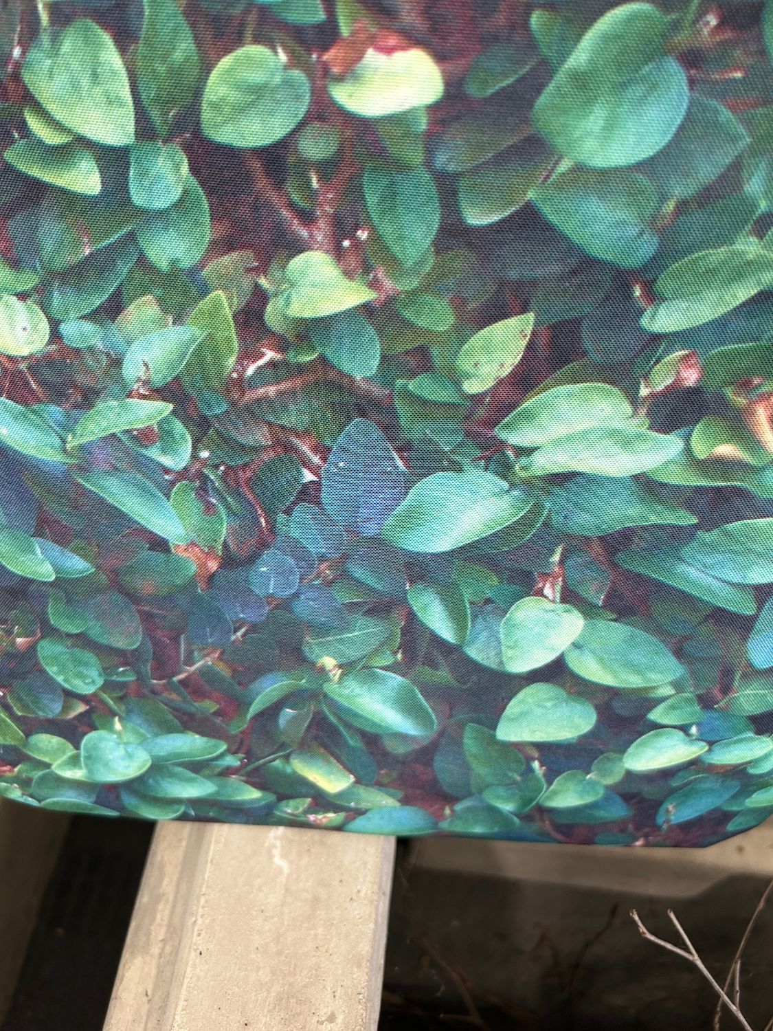 BBQ Cover 5-6 Hood - Creeper
