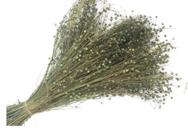 Lino Grass Teal 60cm