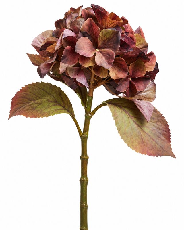 Mixed Autumn Browns Single Hydrangea Stem - L cm x W cm x H 60cm