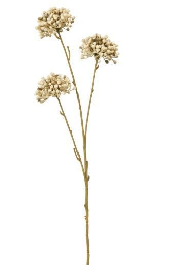 Brown Allium Spray - L 0cm x W 0cm x H 60cm Brown Allium Spray - L 0cm x W 0cm x H 60cm