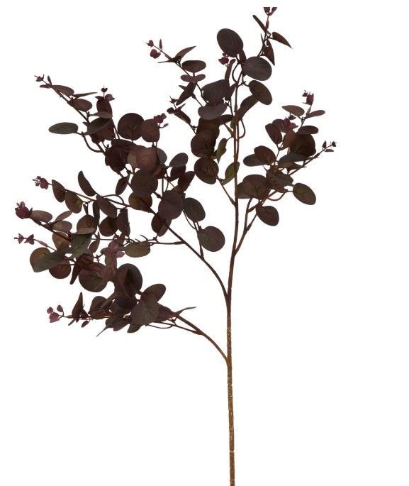 Burgundy Eucalyptus  - L 0cm x W 0cm x H 75cm