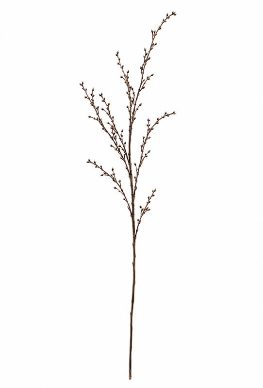 Branch Spray -  L 25cm x W 25cm x H 120cm